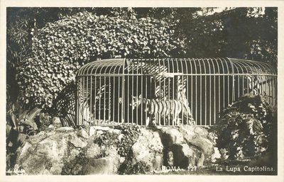 The Capitoline Wolf by Italian Photographer
